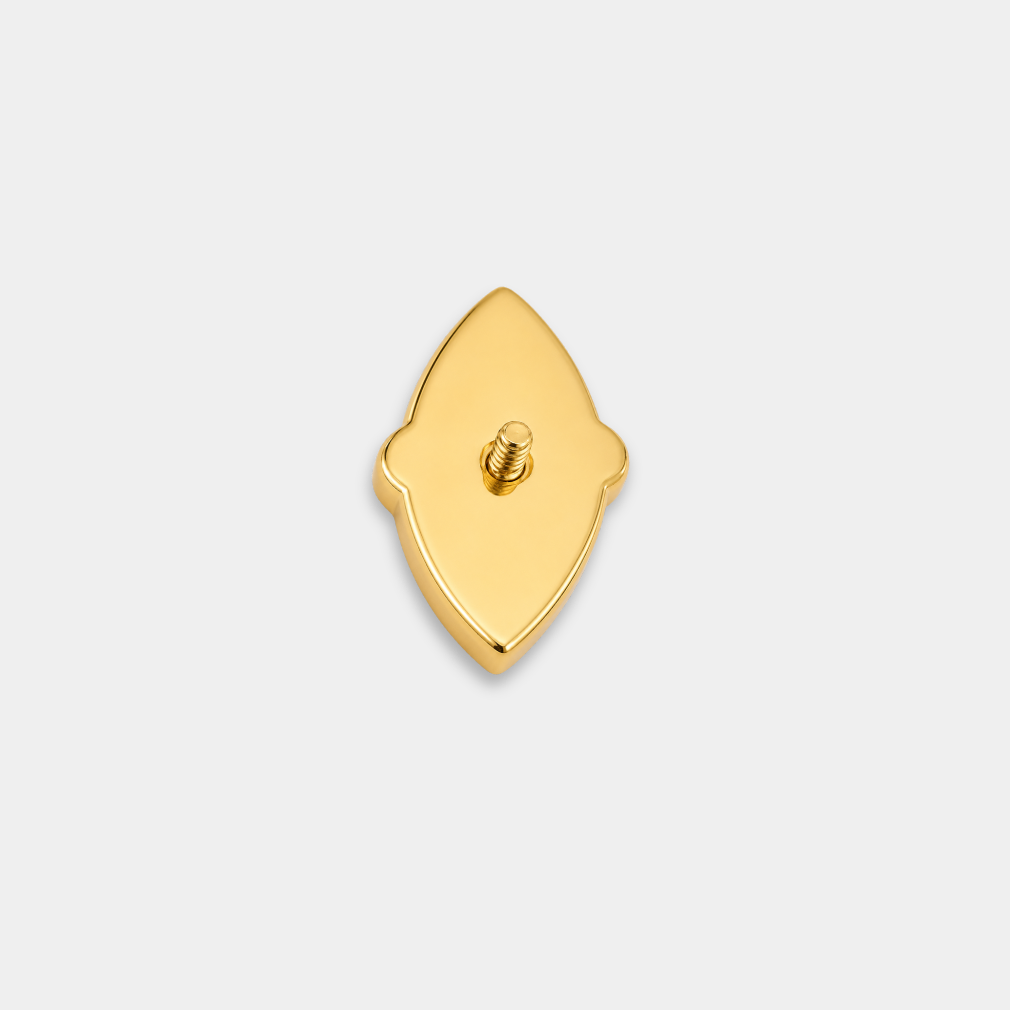 Embout Piercing Titane Gold Moos agate - Strata